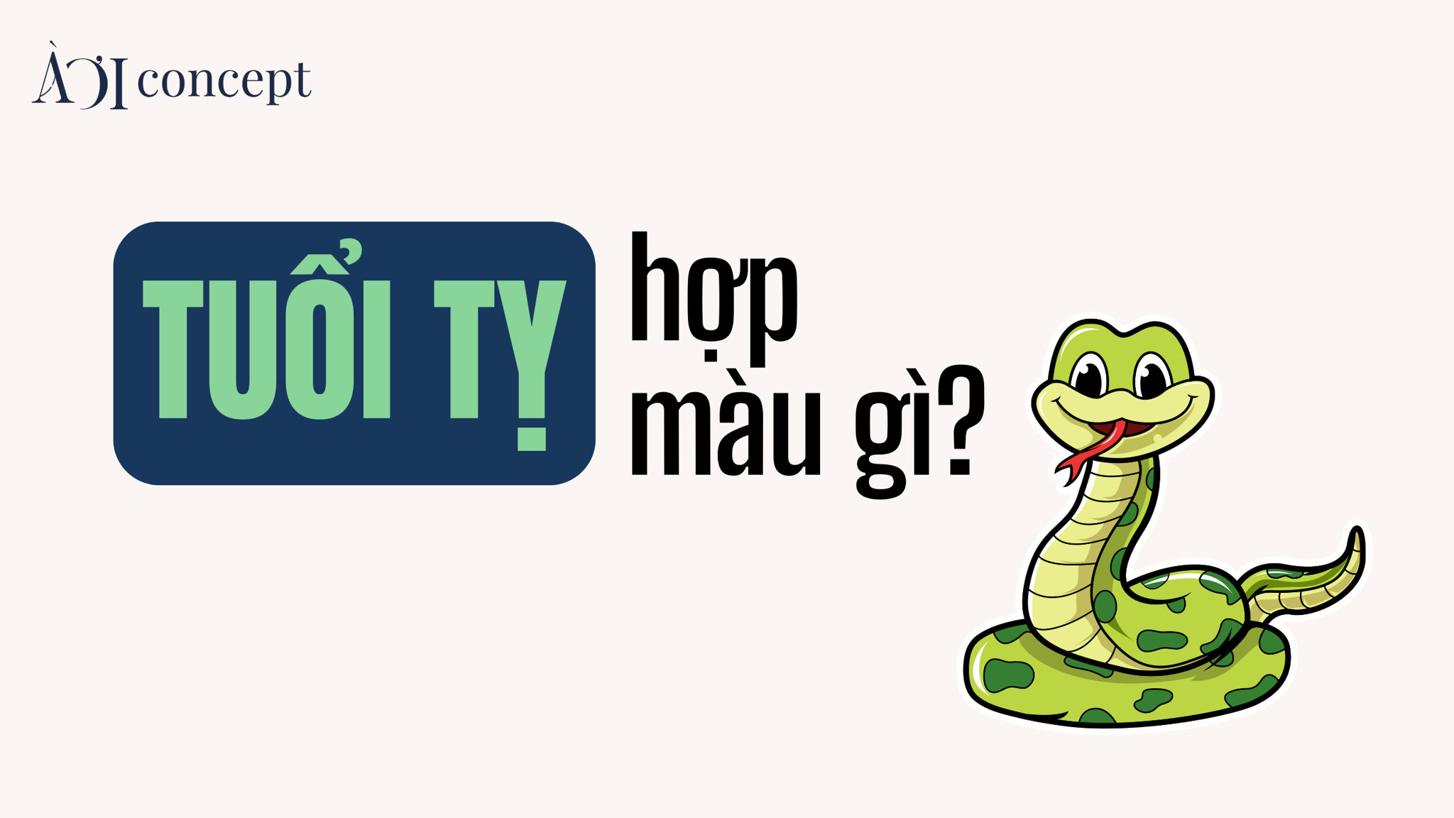 Cách ứng dụng màu sắc hợp tuổi Tỵ 2025 trong trang phục và vật dụng cá nhân